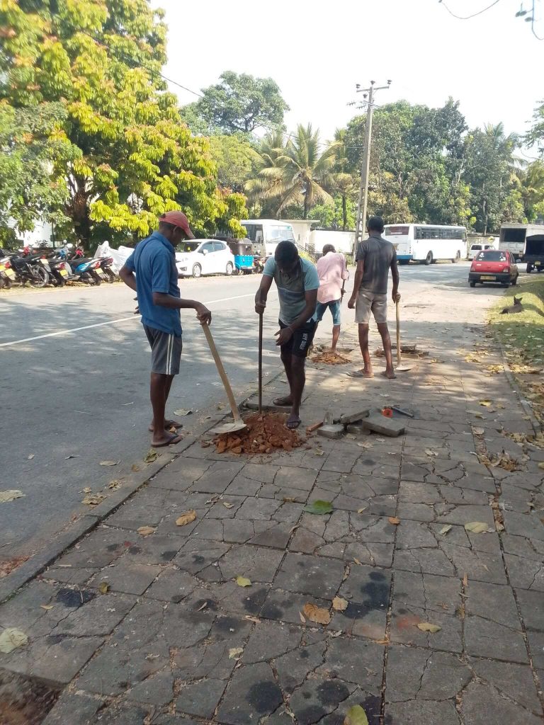 Construction of Guard Stones at Internal Roads of BOI Seethawaka